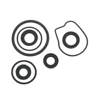 18-8362-1 Lower Unit Seal Kit