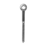 BLA Eye Head Lag Screws - Stainless Steel